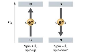 Electron spin quantum number diagram