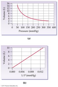 Graph of Boyle's law: volume vs. pressure