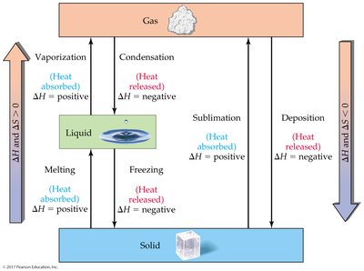 Diagram of phase changes and associated enthalpy and entropy changes