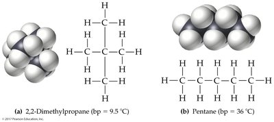 Effect of molecular size on London dispersion forces