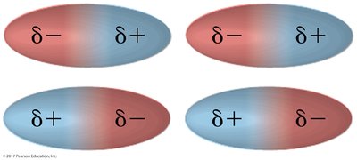 Dipole-dipole interactions between polar molecules
