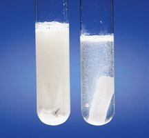 Comparison of reaction rates for powdered vs. solid reactants in test tubes