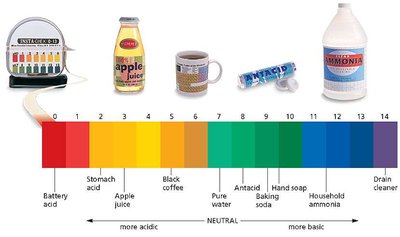 pH scale with common substances