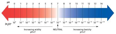 pH scale diagram
