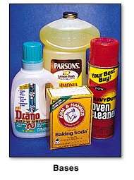 Common household bases
