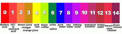 pH scale with common substances