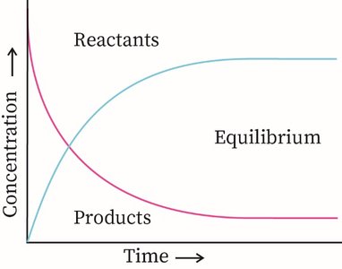 Graph showing concentrations of reactants and products reaching equilibrium over time