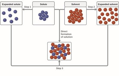 Steps in solution formation