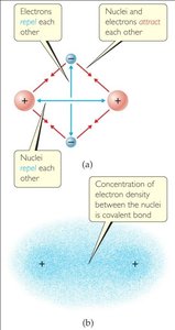 Electrostatic interactions in covalent bonding
