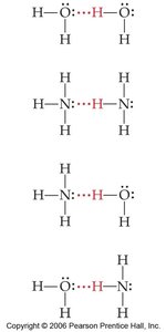 Examples of hydrogen bonding in molecules