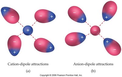 Cation-dipole and anion-dipole attractions