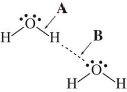 Intramolecular vs. intermolecular forces in water
