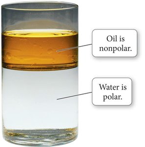 Oil and water: polarity and solubility