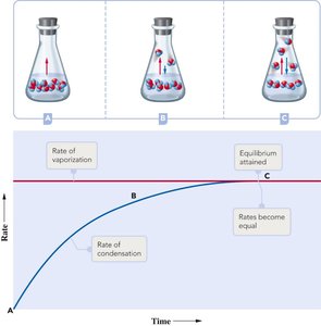 Vapor pressure vs. temperature for different liquids