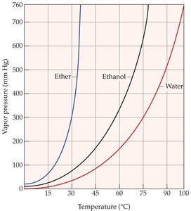 Vapor pressure demonstration: water vs. ether