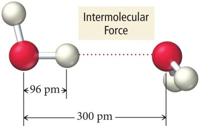 Hydrogen bonding between water molecules
