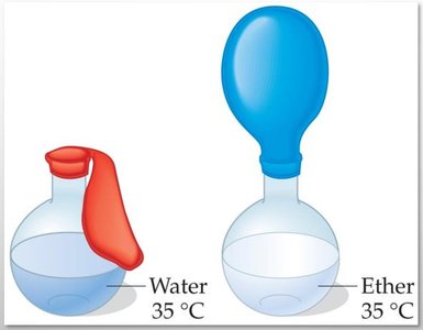 Boiling point and vapor pressure