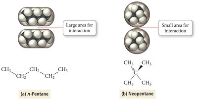 Surface area and London forces in pentane isomers