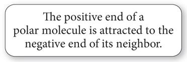 Attraction between positive and negative ends of polar molecules
