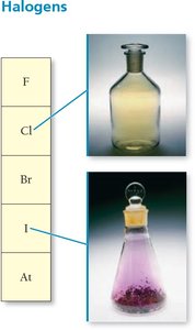 Halogens