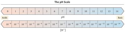 Table of pH values for common substances