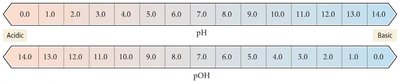 The pOH scale