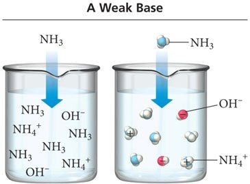 A weak base: NH3 only partially ionizes in water