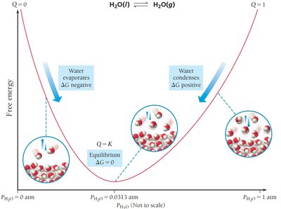 Free energy vs pressure for water vaporization, showing ΔG negative for evaporation, zero at equilibrium, and positive for condensation