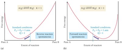 Free energy curves for K < 1 and K > 1, showing spontaneous direction of reaction
