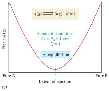 Free energy curve for K = 1, showing equilibrium at standard conditions