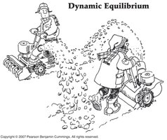 Dynamic Equilibrium cartoon