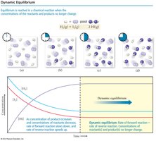 Dynamic Equilibrium molecular diagram and graph