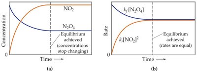 Graphs showing concentration and rate changes as equilibrium is approached