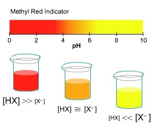 Methyl red indicator color change with pH