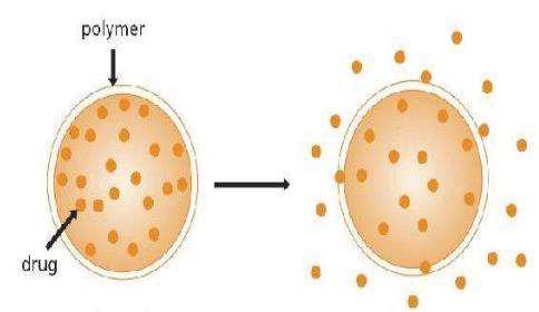 Drug release from polymer matrix
