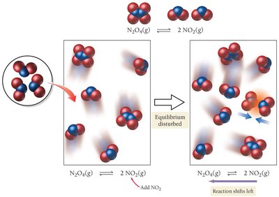 Reaction shifts right when N2O4 is added
