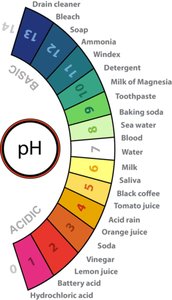pH scale with common substances
