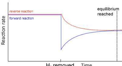 Effect of removing H2 on equilibrium rates