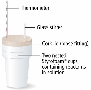 Coffee cup calorimeter