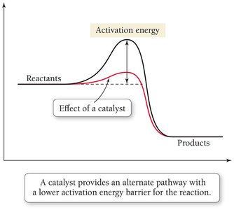 Catalyst effect on energy diagram