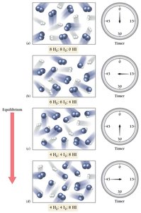 Molecular view of equilibrium establishment