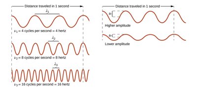 Wave properties: wavelength, frequency, amplitude