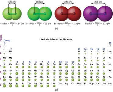 Atomic radii trends in periodic table