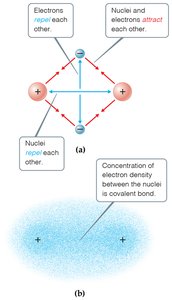Electrostatic interactions in covalent bonding