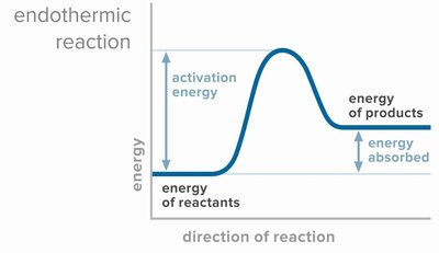 Energy profile of an endothermic reaction showing activation energy