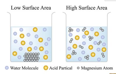 Effect of surface area on reaction rate