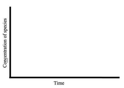 Blank graph for concentration vs. time