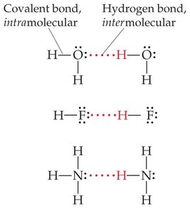 Hydrogen bonding: positive hydrogen attracted to negative electrons