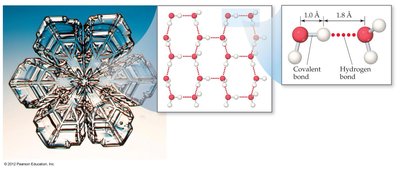 Ice structure showing cavities due to hydrogen bonding