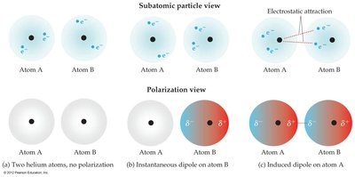 Formation of instantaneous and induced dipoles leading to dispersion forces